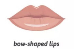 Type Of Lips: Bow Shaped