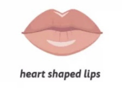 Type Of Lips: Heart Shaped